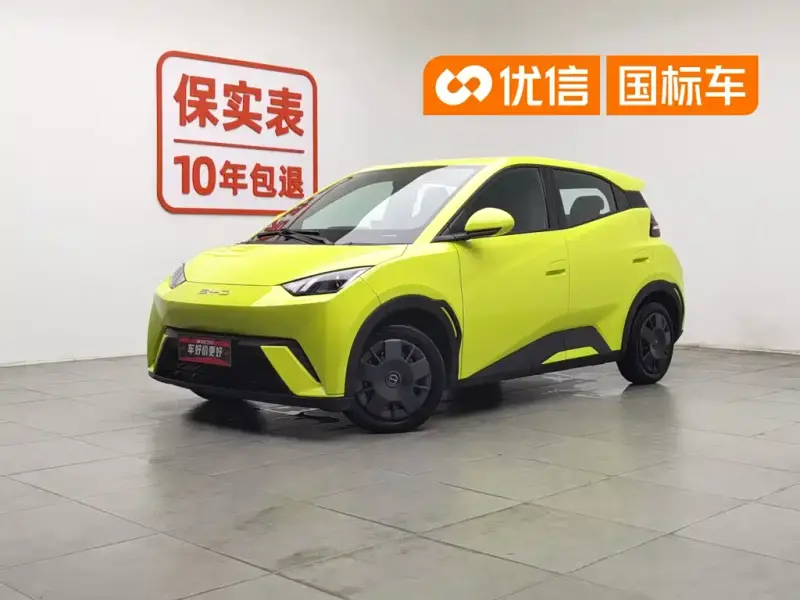 BYD Seagull
