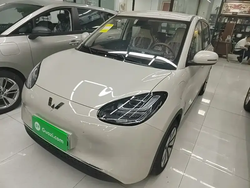Wuling Bingo