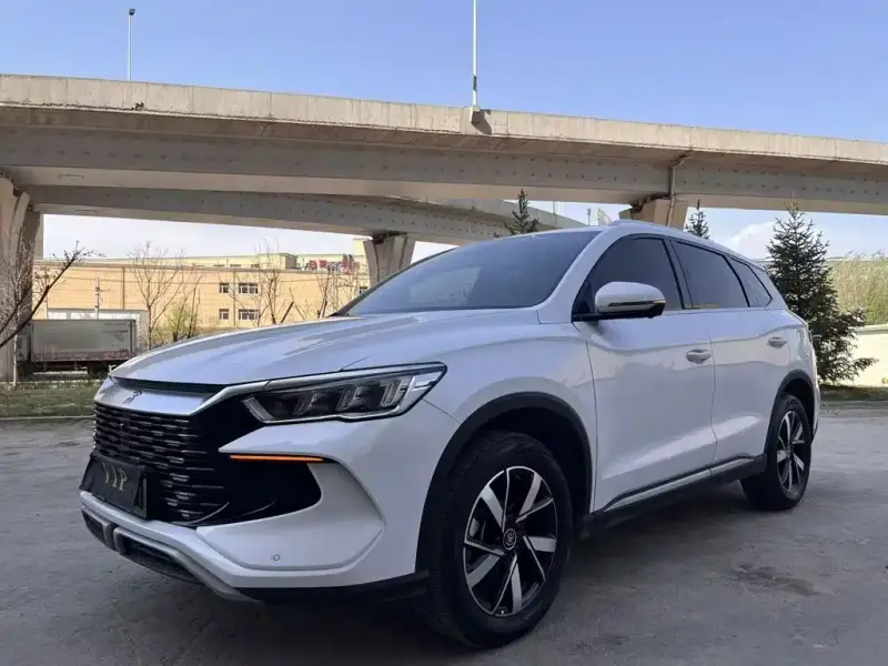 BYD Pro New Energy