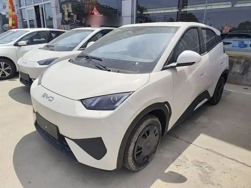 BYD Seagull