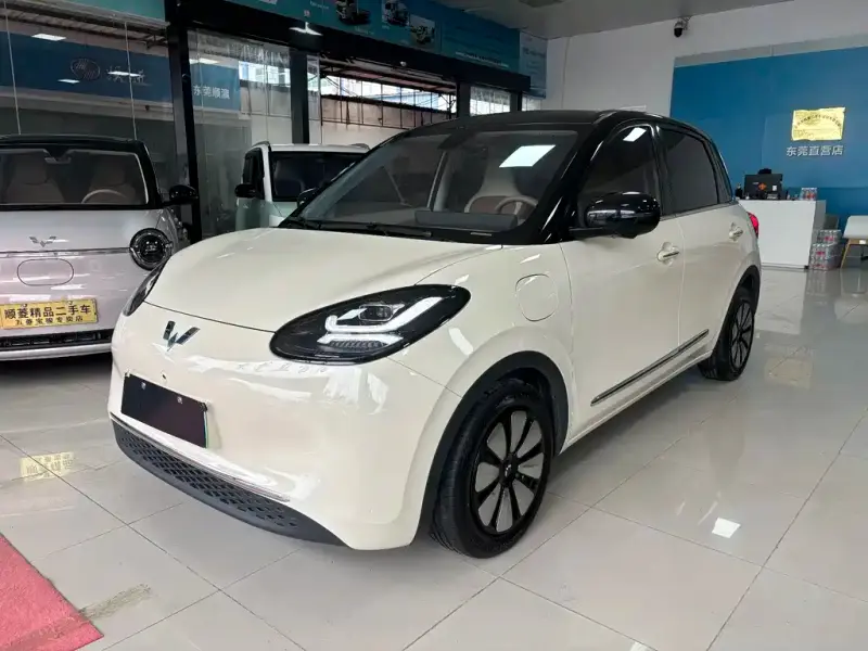Wuling Bingo