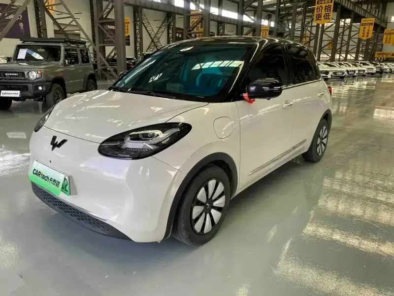 Wuling Bingo