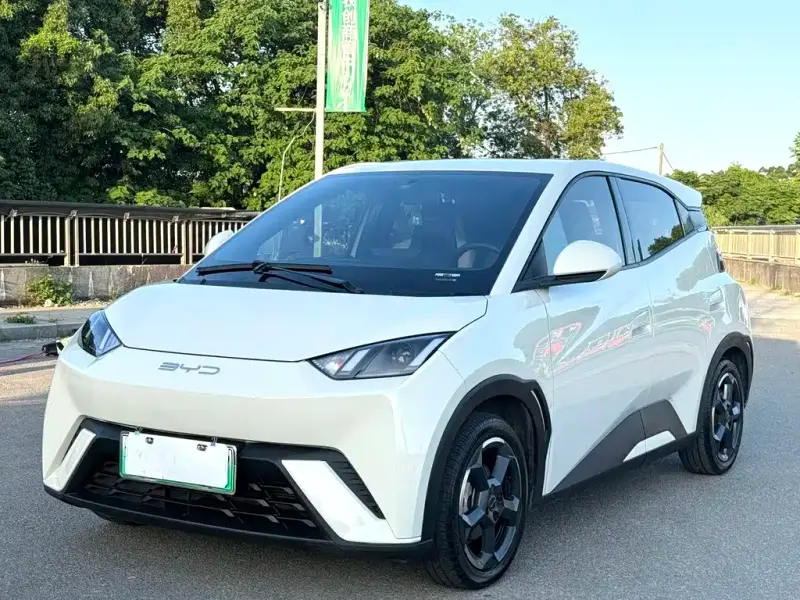 BYD Seagull