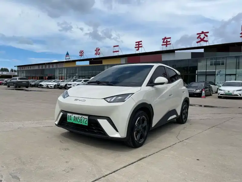 BYD Seagull