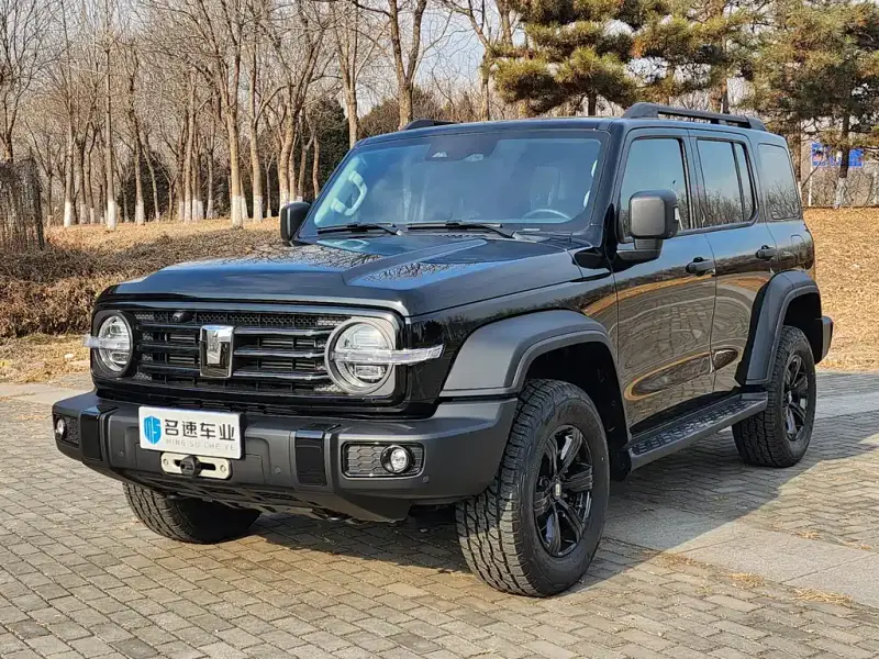 Tank 300