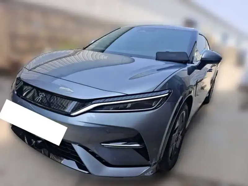 BYD L EV