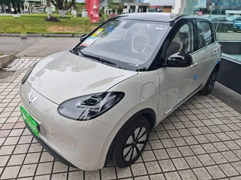Wuling Bingo