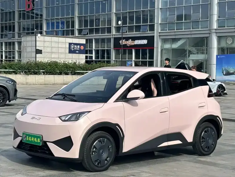 BYD Seagull