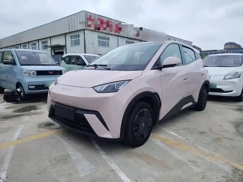 BYD Seagull