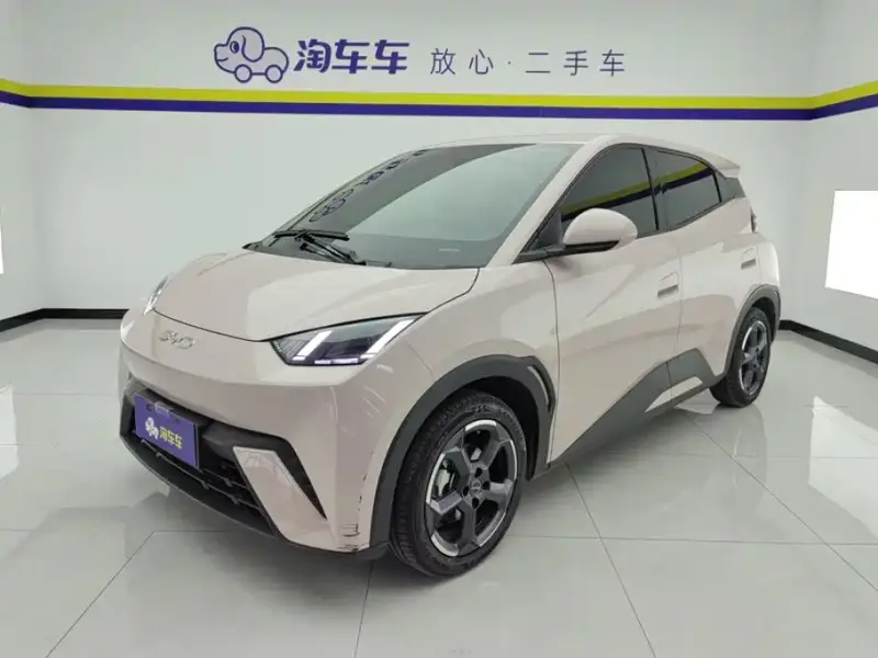 BYD Seagull