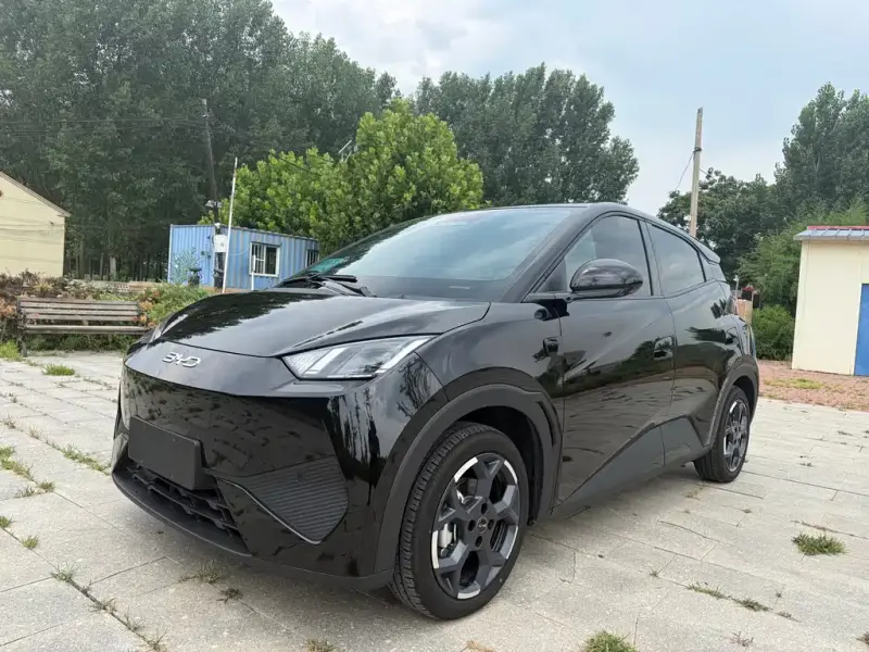 BYD Seagull
