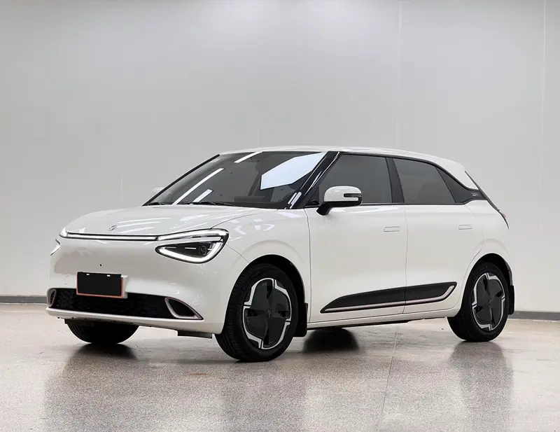 Dongfeng Yipai Nami 01