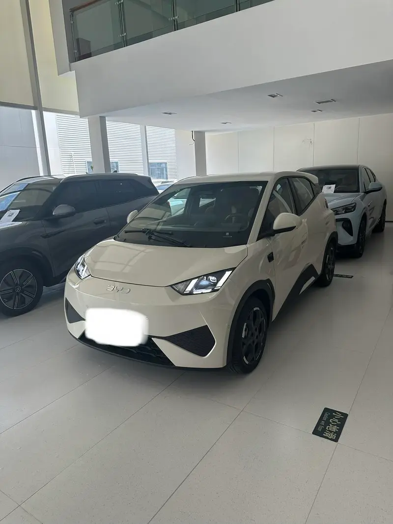 BYD Seagull