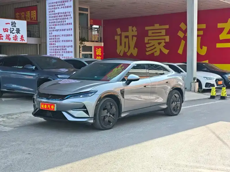 BYD L EV