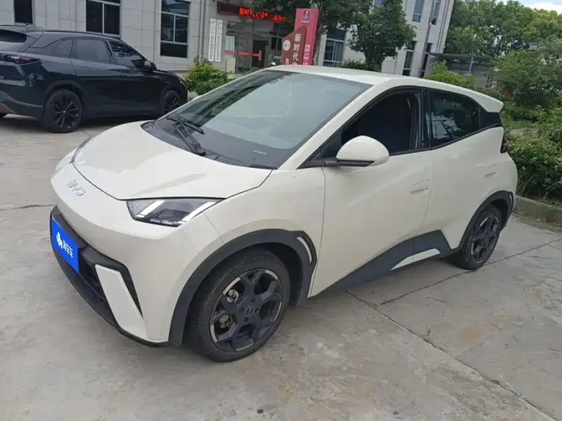 BYD Seagull