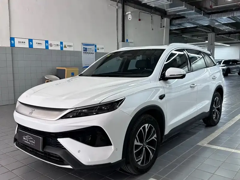 BYD Pro New Energy
