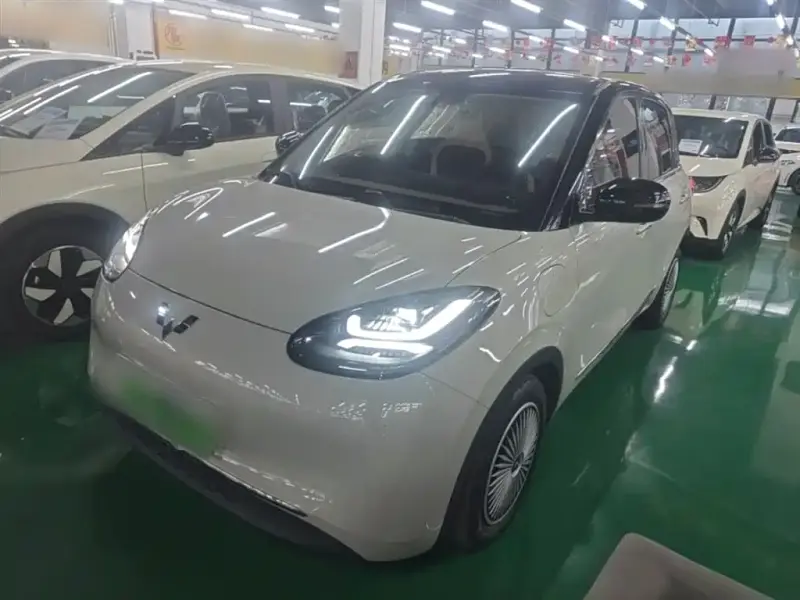 Wuling Bingo