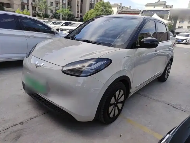Wuling Bingo