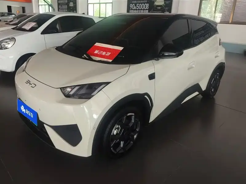 BYD Seagull