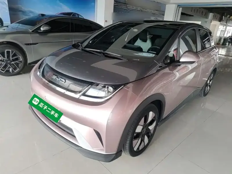 BYD Dolphin