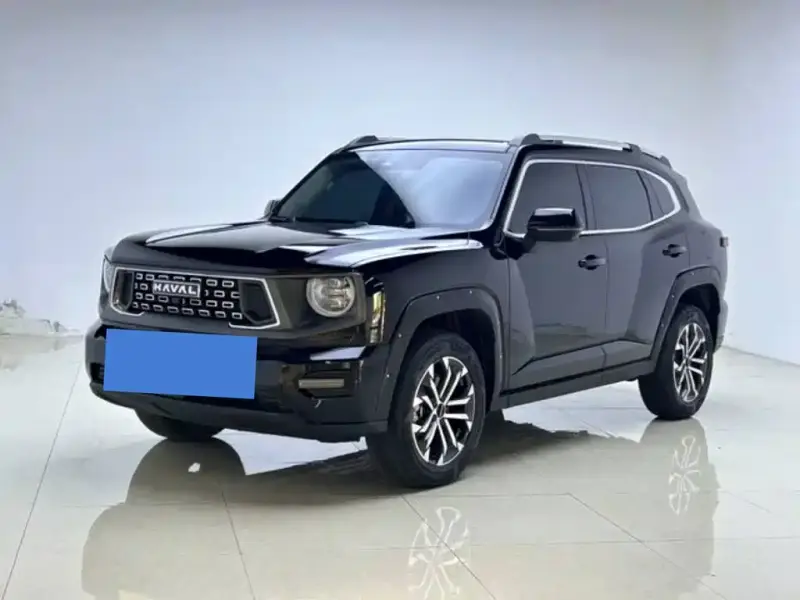 Haval Dargo (Big Dog)