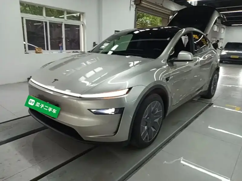 Tesla Model Y L