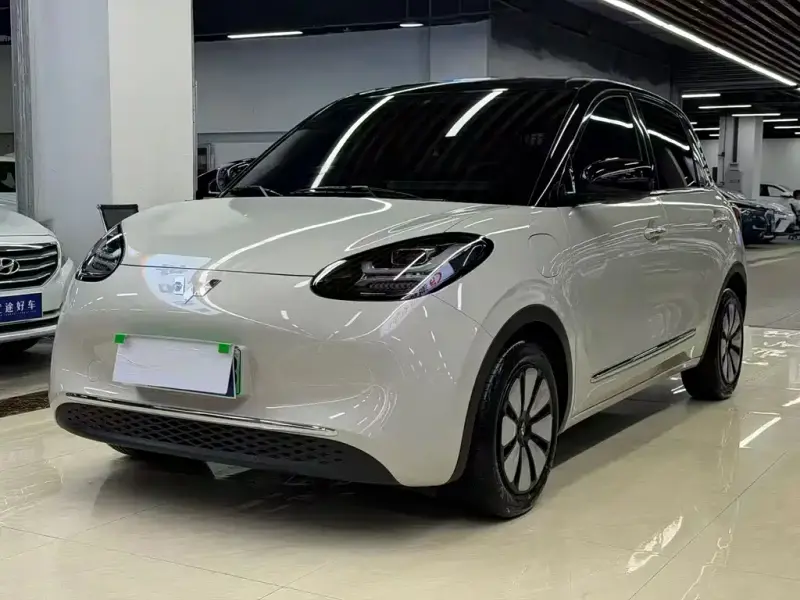 Wuling Bingo
