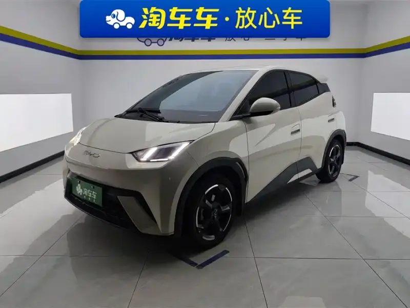 BYD Seagull