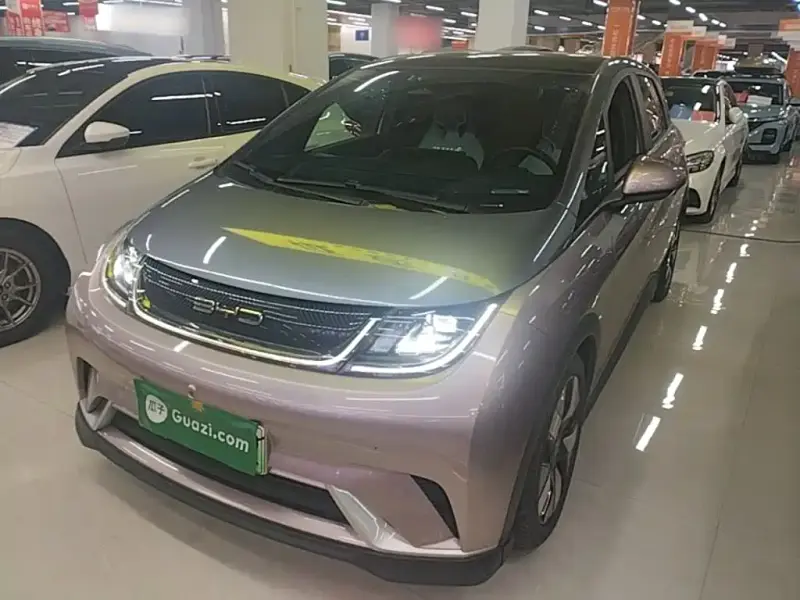 BYD Dolphin