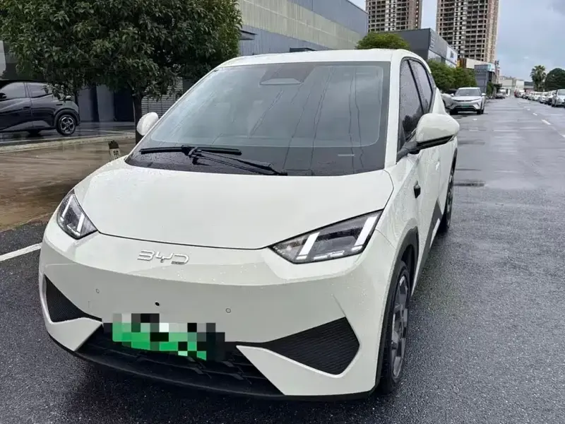 BYD Seagull