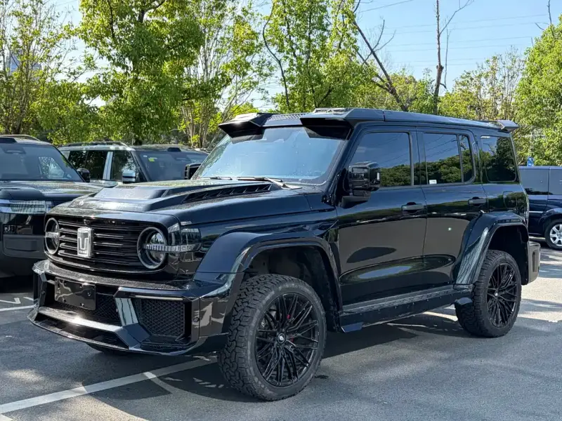 Tank 300
