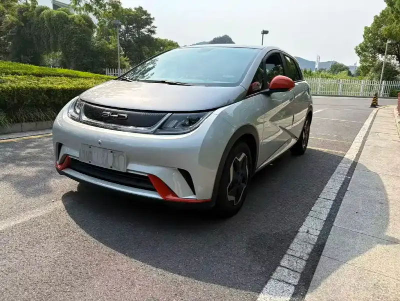 BYD Dolphin
