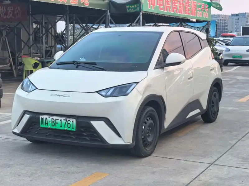 BYD Seagull