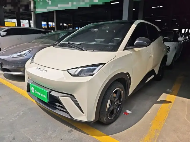 BYD Seagull