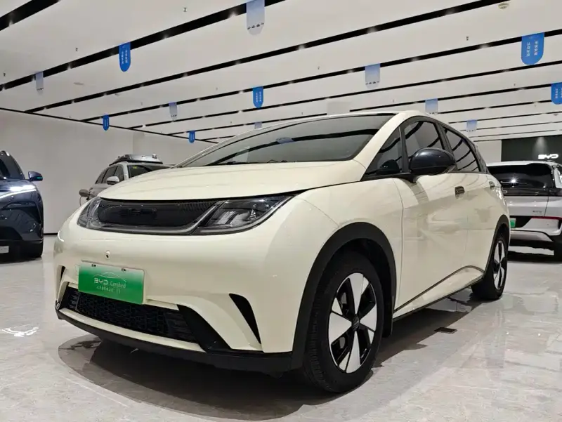 BYD Dolphin