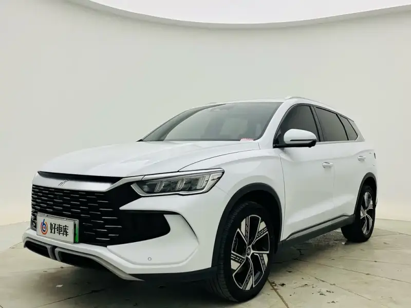 BYD Pro New Energy