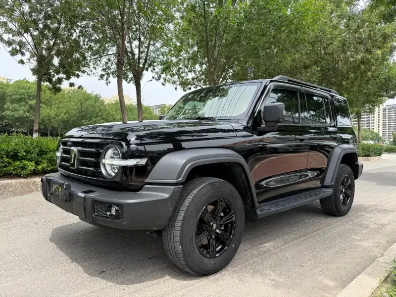 Tank 300