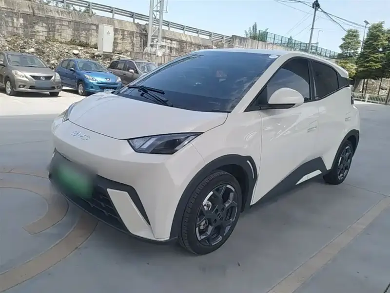 BYD Seagull