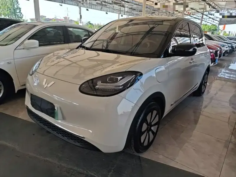 Wuling Bingo
