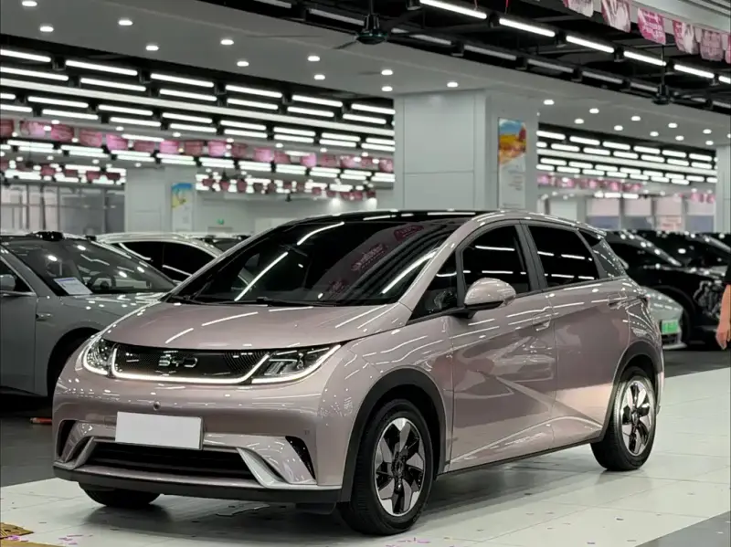 BYD Dolphin