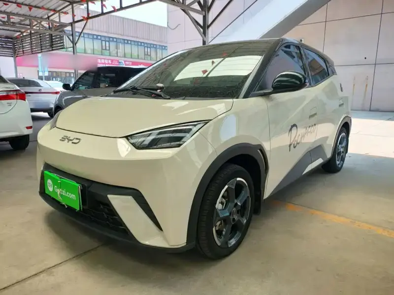 BYD Seagull