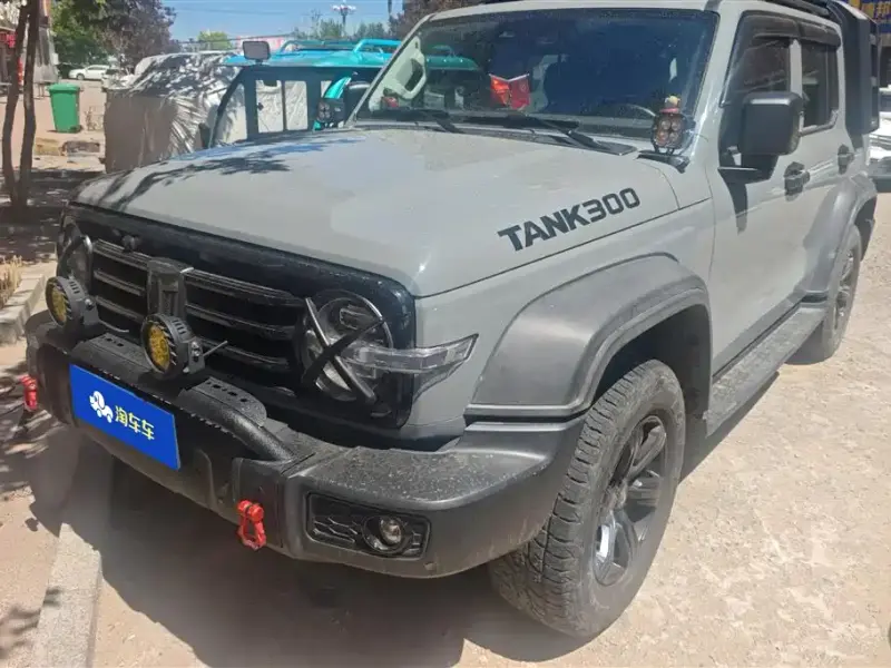 Tank 300