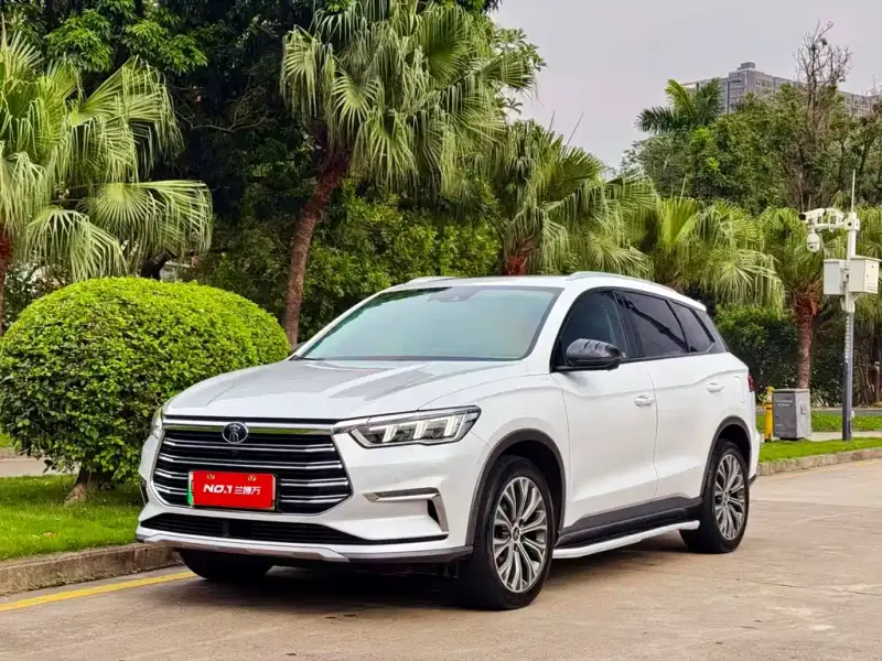 BYD Pro New Energy