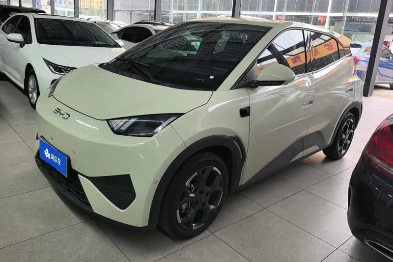BYD Seagull