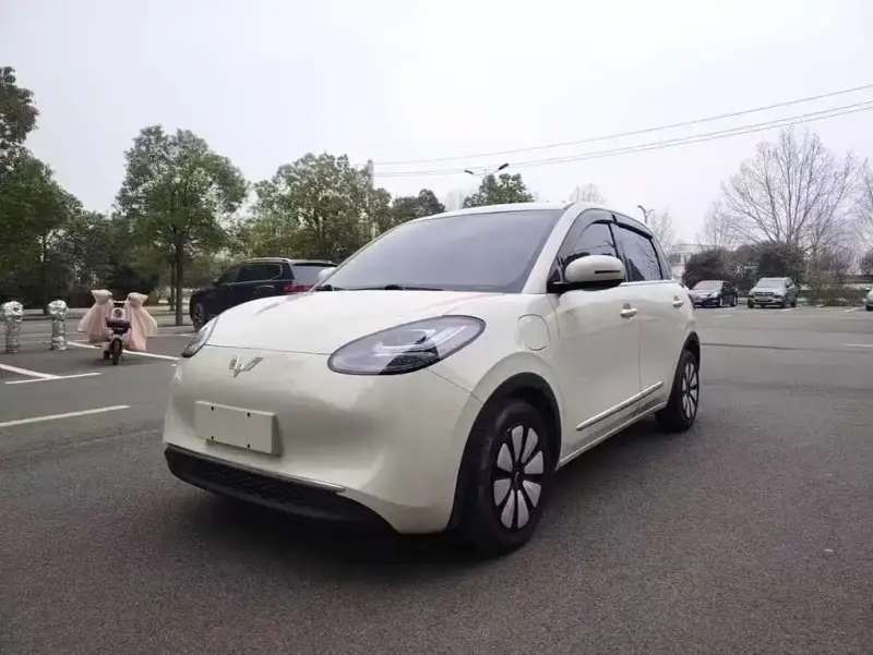 Wuling Bingo