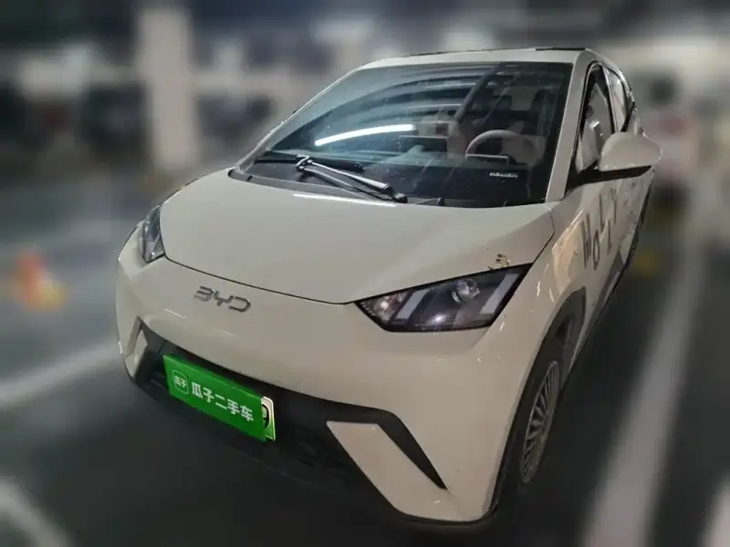 BYD Seagull