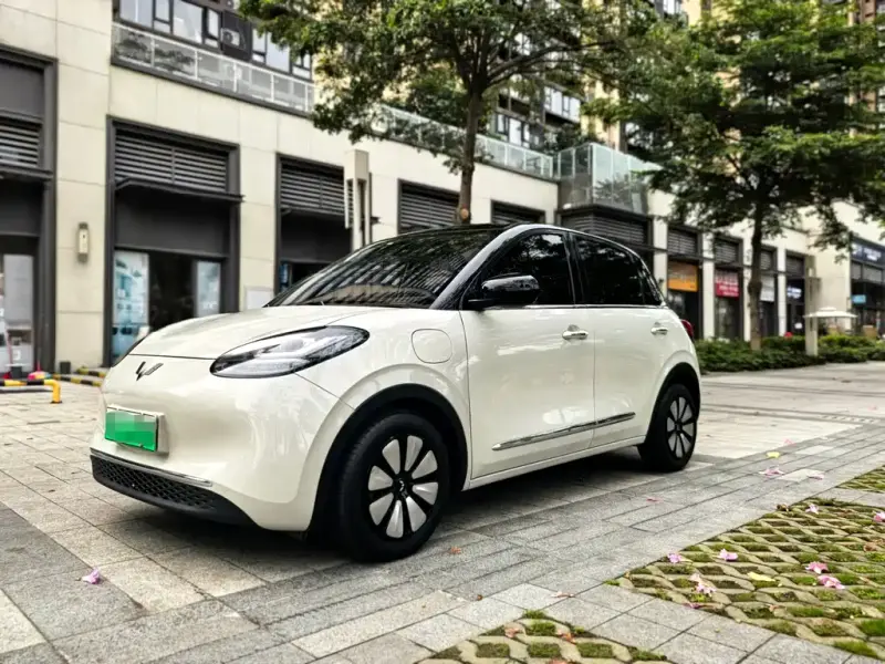 Wuling Bingo