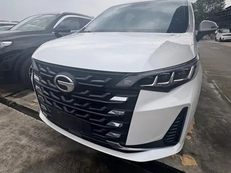 GAC Motor M6