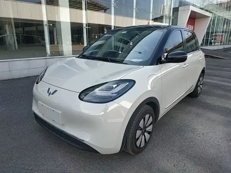 Wuling Bingo