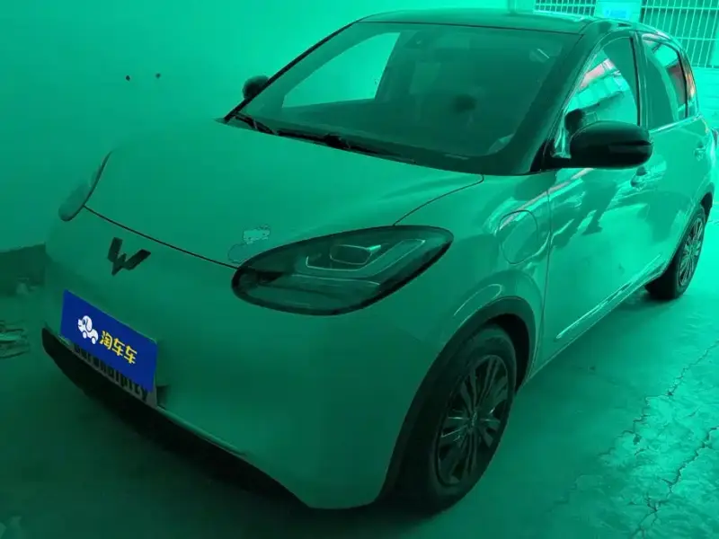 Wuling Bingo